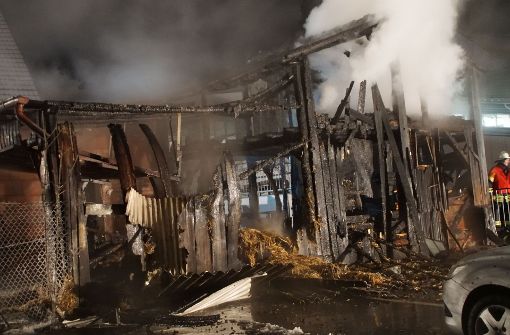 Beim Brand eines Hühnerstalls in Herrenberg verendeten knapp 150 Tiere in den Flammen Foto: SDMG