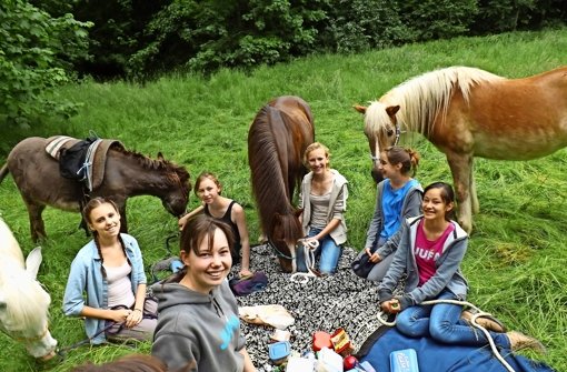 Picknick mit den Pferden, vielleicht ist für sie ja auch ein Apfel drin? Foto: privat
