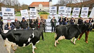 Mitglieder des Bundes Deutscher Milchviehhalter fordern eine Foto: dpa