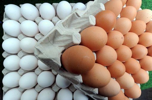 Der Großteil des hiesigen Bedarfs  an Eiern wird aus   Norddeutschland gedeckt. Verbraucherministerin Aigner kritisiert Niedersachsen. Foto: dpa