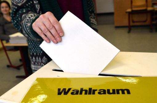 Um bei der Landtagswahl am 14. März 2021 dabei sein, müssen kleine Parteien relativ strenge Voraussetzungen erfüllen. Foto: dpa/Thomas Kienzle