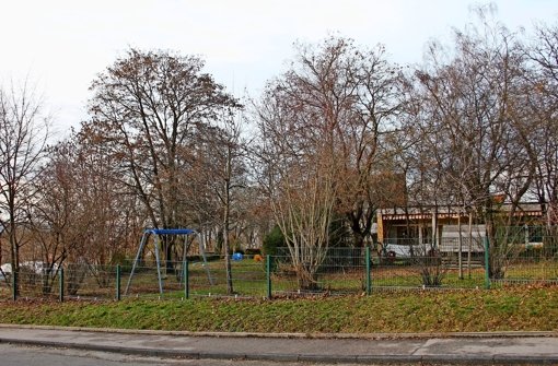 Im Außenbereich der Kita an der Torgauer Straße werden vier Bäume gefällt. Für den Neubau der Einrichtung müssen fünf weitere weichen – vermutlich im Herbst. Foto: Martin Braun