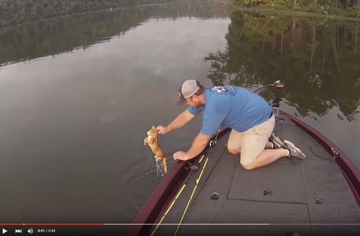 Mit einem beherzten Griff zog dieser Fischer das Kätzchen aus dem Wasser. Foto: Screenshot Youtube/Alabama Adventures
