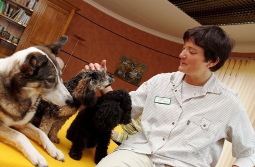 Sozialpädagogin Anette Bull mit ihren Therapie-Hunden. Foto:  