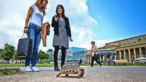 Tina Saum (rechts) bei ihrem Spaziergang mit einer Schildkröte auf dem Stuttgarter Schlossplatz im Gespräch mit einer Passantin Foto: Max Kovalenko