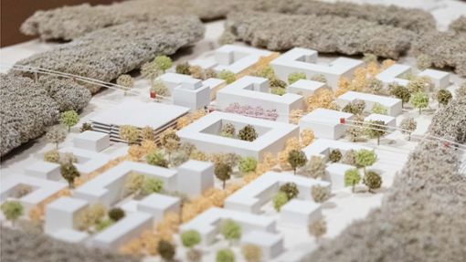 So sieht die geplante Holzbau-Siedlung im Modell aus. Foto: Eibner-Pressefoto/Roger Bürke