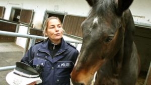 Die Polizei in Brandenburg hat das Pferd zwar in vollem Galopp erwischt – bezahlen muss seine Reiterin jedoch nicht. (Symbolbild) Foto: dpa