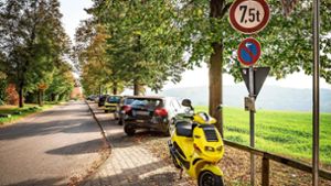 Seit die Parkplätze an der Uni Hohenheim kosten, stehen sie oft leer – geparkt wird stattdessen entlang der Straßen. Foto: Lichtgut/Julian Rettig