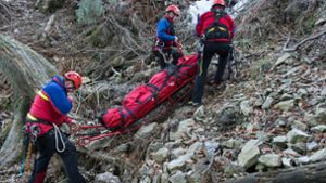 Die Helfer der Bergwacht kommen bei Notfällen in unwegsamem Gelände zum Einsatz (Archivbild). Foto: dpa