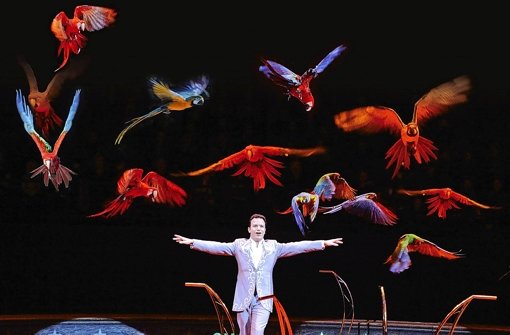 Alessio Fochesato hat mehr als einen Vogel: Auf sein Kommando fliegen Dutzende Papageien unter der Zirkuskuppel - erstmals in Stuttgart und damit ein Weltrekordversuch. Foto: Stardust International