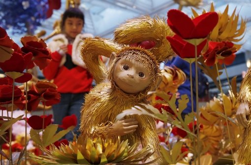 Er gilt in China als sehr wissbegierig: Ab dem 8. Februar ist in Fernost das Jahr des Affen. Foto: AP