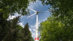 Die potenziellen Windkraftstandorte im Schurwald und auf der Buocher Höhe bleiben umstritten. Foto: dpa
