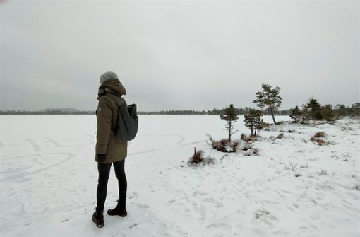 Gerade einmal sechs Stunden dauert in Estland der Tag, wenn die dunkle Zeit zur Wintersonnenwende ihren Höhepunkt erreicht. Foto: Kirsten Panzer