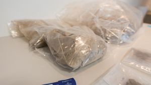 Päckchen mit reinem Heroin und ein Drogenschnelltest liegen bei der Pressekonferenz im Zollamt in Weil am Rhein auf dem Tisch. In zwei Lkw hatten die Zöllner 24,6 Kilogramm Heroin entdeckt. Foto: dpa