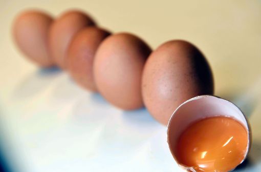 Fipronil ist auch in Eiern eines baden-württembergischen Betriebs festgestellt worden. Foto: dpa