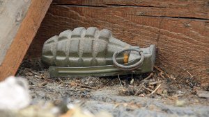 Noch scharf war diese Handgranate aus dem Zweiten Weltkrieg, die ein Murrhardter im Dachgebälk seines Hauses gefunden hat. Foto: Polizei