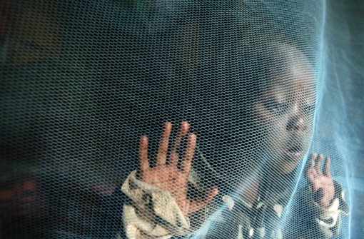 Rund 250 Millionen Menschen erkranken jährlich an Malaria, knapp eine Million sterben an der Fieberkrankheit, darunter vor allem Kinder. Schutz bieten bislang nur Moskitonetze und Medikamenten zur Vorbeugung Foto: EPA