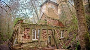 Lost Place mit Dampflok-Anschluss: Ausflug zur geheimnisvollen Ruine im Bannwald