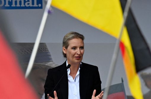 Alice Weidel spricht in Schwerin. Foto: AFP/JOHN MACDOUGALL