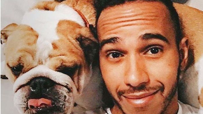 Lewis Hamilton und sein veganer Hund