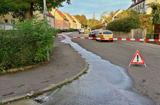 In Stuttgart-Feuerbach ist am Freitagmorgen gleich zweimal Wasser aus dem Bogen gesprudelt. Foto: KS-Images.de /Andreas Rometsch