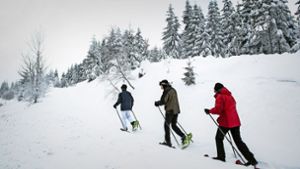 Der Nationalpark  ist auch bei Schnee ein Erholungsgebiet. Noch ist dort  Wintersport  möglich Foto: dpa