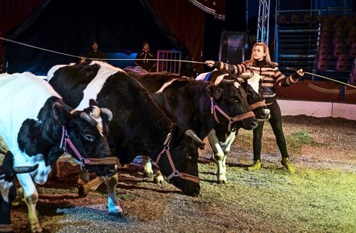 Alexa Knie bei der Dressur ihrer schwarzbunten Holsteiner Foto: LG/Max Kovalenko