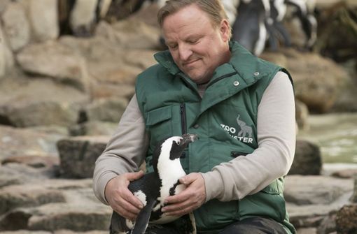 Der Kommissar und die Pinguin-Dame: Bei seinen Undercover-Ermittlungen im Zoo schließt „Tierpfleger“ Frank Thiel (Axel Prahl) den Pinguin Sandy in sein Herz.  Foto: WDR