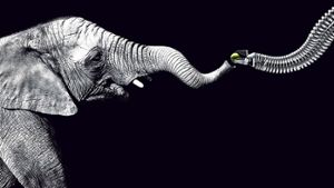 Der Bionic Handling Assistent ist dem Rüssel eines Elefanten nachempfunden. Er wurde 2010 mit dem Deutschen Zukunftspreis ausgezeichnet. Foto: Festo