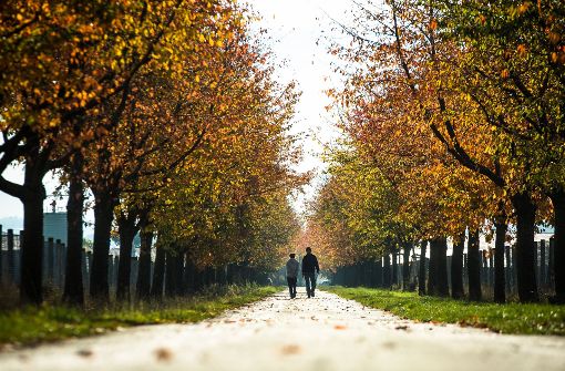 Der beste Zeitpunkt für einen Herbstspaziergang in Stuttgart ist am Samstag. Foto: dpa