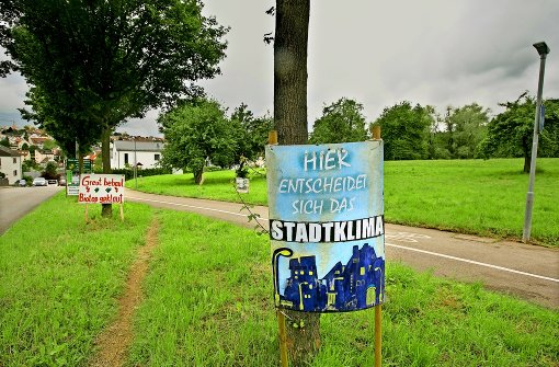 Nicht nur mit Plakaten, sondern auch mit einem eigenen Klimagutachten argumentiert der Verein Rettet das Greut gegen die geplante Bebauung der Streuobstwiese. Foto: Horst Rudel
