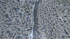 Mit Schnee bedeckt sind nicht nur die Kronen der Bäume in einem Wald nahe der Ortschaft Bartholomä im Schwarzwald. Foto: dpa/Jason Tschepljakow