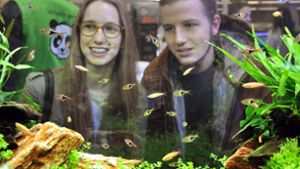 Lange ein beliebter Hingucker: die „Fisch & Reptil“ in der Sindelfinger Messehalle Foto: Archiv/Ruchay-Chiodi