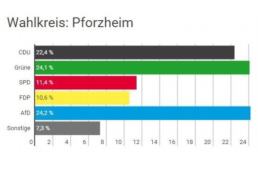 Die AfD ist in Pforzheim die stärkste Partei. Foto: Screenshot