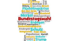 Nach welchen Begriffen  suchen die Deutschen  im Internet? Foto: Zapletal