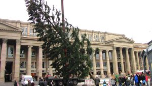 Mit einem Autokran wird der etwa 60 Jahre alte Nadelbaum vor dem Königsbau aufgestellt. Foto: in.Stuttgart