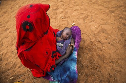 In Äthiopien brechen wegen Dürreperioden immer wieder Hungerkrisen aus. Foto: AP
