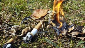Schon eine achtlos weg geworfene Zigarettenkippe kann trockenes Laub und Gras entzünden, aber in Unterensingen geht die Polizei von Brandstiftung aus. Foto: dpa/Wolfgang Kumm