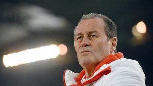 Vertraut dem Kader aus dem Spiel gegen Mainz: VfB-Coach Huub Stevens Foto: dpa