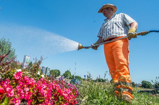 Die Hitze macht Menschen und Pflanzen im Südwesten zu schaffen. Foto: dpa
