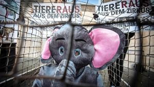 Proteste gegen Wildtiere im Zirkus