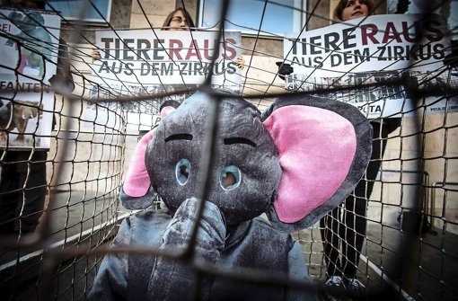 Ein als Elefant verkleideter Peta-Aktivist Foto: Lichtgut/Achim Zweygarth
