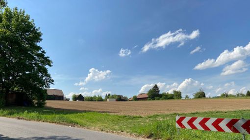 Im Schafhaus-Gebiet nördlich von Mühlhausen sollen rund 700 Wohneinheiten entstehen. Foto: Iris Frey
