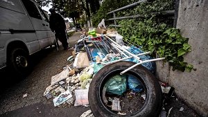 Dieser Müllhaufen nervt die Anwohner der Wilhelmstraße  – seit zwei Wochen Foto: Leif Piechowski