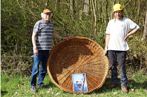 Der Vorsitzende Gerhard Fahr und Lars Wagner (von links)  präsentieren den von der Aufbaugilde Heilbronn gefertigten Weidenkorb, eher diese auf einer Weide in 35 Meter Höhe als Nisthilfe für den Weißstorch installiert wurde. Foto: NatureLife-International/Kübler