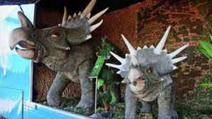 Mehr als 50 Dinos erobern Vaihingen