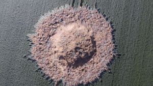 Weltkriegsbombe reißt metertiefen Krater