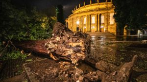 Das Stuttgarter Opernhaus nach dem Sturm am Montagabend Foto: Christoph Schmidt/dpa