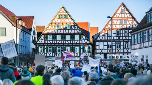 In Kirchheim/Teck sind  am vergangenen Wochenende Tausende auf den Marktplatz gekommen. Foto: Ines Rudel/Ines Rudel
