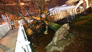Ein Baum ist aufgrund der Sturmböen im Stuttgarter Schloßgarten auf einen Fußgängersteg gefallen. Foto: 7aktuell/Eyb